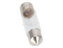 Sofitte Glühbirne Lampe Birne 6V 3W Winker für VW Käfer