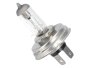 Glühlampe Lampe Birne 6V 55W 60W für VW Käfer Scheinwerfer