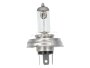 Glühlampe Lampe Birne 6V 55W 60W für VW Käfer Scheinwerfer