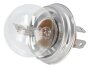 Glühbirne Lampe Birne 12V 45W 40W für VW Käfer u Co Scheinwerfer